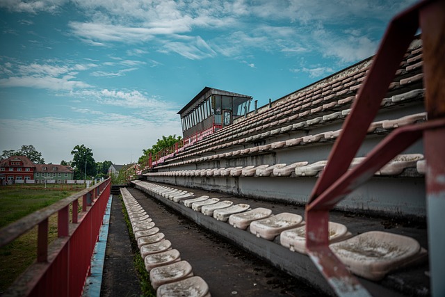 现了出色的 现了出色的