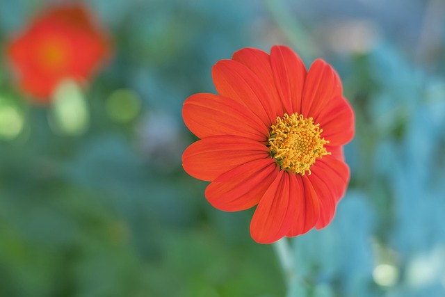 性和争议性 性和争议性