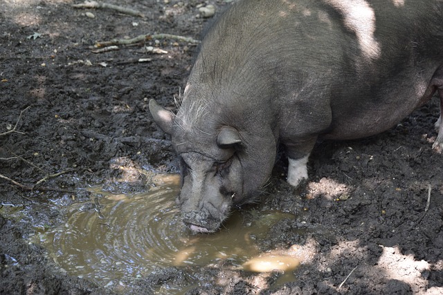 握主动权 握主动权