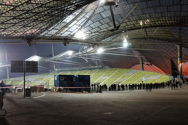 耳曼在欧冠 耳曼在欧冠